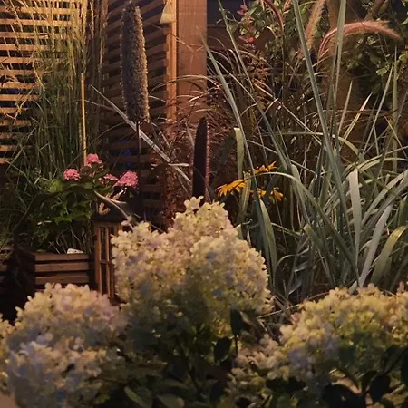 Pod Sliwkami Lejlighed *