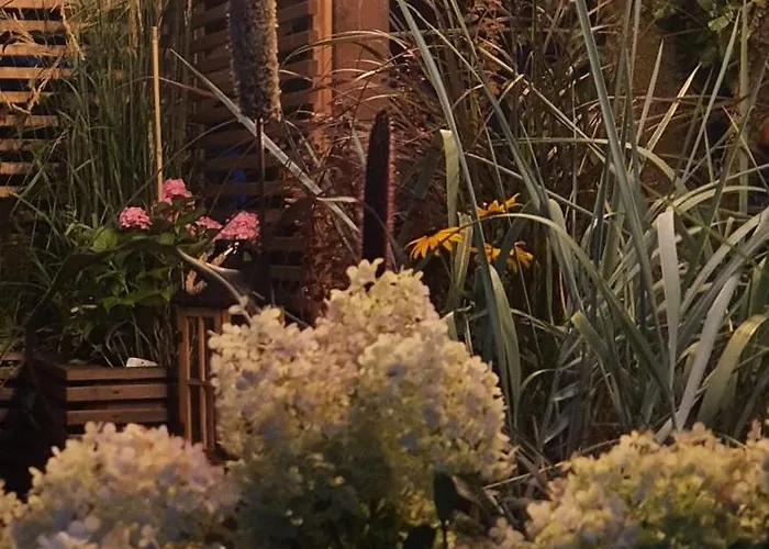 Pod Sliwkami Lägenhet *